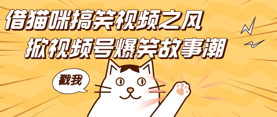 借猫咪搞笑视频之风，掀视频号爆笑故事潮，轻松日赚四位数，开启无门槛赚钱新体验！-布谷屋免费网赚资源网