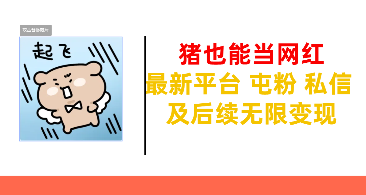 猪也能当网红-最新平台 屯粉 交流 私信 及后续无限变现-布谷屋免费网赚资源网