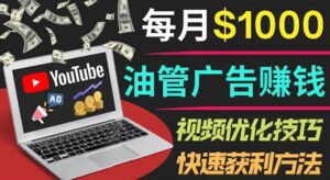 YouTube广告赚钱项目:只需发布视频就有收入,月入7000+副业-布谷屋免费网赚资源网