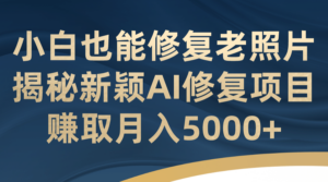 小白也能修复老照片！揭秘新颖AI修复项目，赚取月入5000+-布谷屋免费网赚资源网