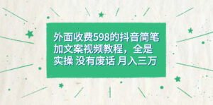 外面收费598抖音简笔加文案教程,全是实操 没有废话 月入三万(教程+资料)-布谷屋免费网赚资源网