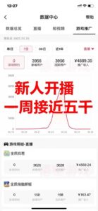抖音爆火的悬疑解谜小游戏【隐秘的档案】无人直播玩法【教程+游戏+工具】-布谷屋免费网赚资源网