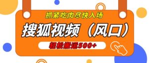 搜狐视频,新风口,1天200-500收益,抓紧吃肉!-布谷屋免费网赚资源网