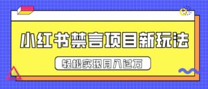小红书禁言项目新玩法,推广新思路大大提升出单率,轻松实现月入过万-布谷屋免费网赚资源网