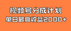 全新蓝海 视频号掘金计划 日入2000+-布谷屋免费网赚资源网