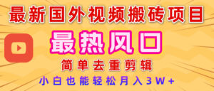 2025最新热门风口，国外视频搬砖项目，简单去重剪辑，小白也能轻松月入3W+-布谷屋免费网赚资源网