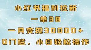 小红书福利拉新,一单38,一月30000+轻轻松松,0门槛小白轻松操作-布谷屋免费网赚资源网