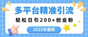 2025年最新多平台精准引流,轻松日引200+-布谷屋免费网赚资源网
