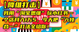 【降维打击】我用“淘宝思维”玩小红书,一个店月入1万5,今天把“六技合一”打法全给你!-布谷屋免费网赚资源网
