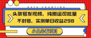 头条发视频，纯搬运可批量，不封号玩法实测单日收益单号298-布谷屋免费网赚资源网