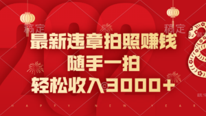 最新违章拍照赚钱，随手一拍，轻松收入3000+-布谷屋免费网赚资源网