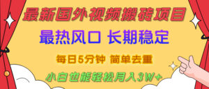 国外视频搬砖项目,2025最新热门风口,简单去重剪辑,小白也能轻松月入3W+-布谷屋免费网赚资源网