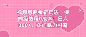 视频号掘金新玩法,保姆级教程0成本,日入300+,冷门暴力引流-布谷屋免费网赚资源网