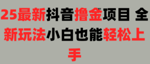 25最新抖音直播撸金项目，小白也能轻松上手！-布谷屋免费网赚资源网