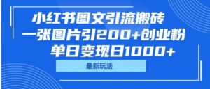 小红书图文引流搬砖,一张图片引200+创业粉,单日变现日1000+-布谷屋免费网赚资源网
