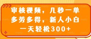 审核视频项目，几秒一单，多劳多得，新人小白一天轻松300+-布谷屋免费网赚资源网