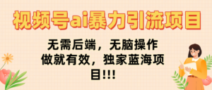 视频号ai暴力引流项目,无需后端,无脑操作,做就有效,独家蓝海项目!!!-布谷屋免费网赚资源网