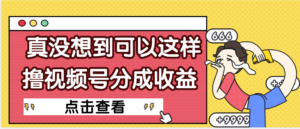 【天呐】真是没想到，视频号收益居然这么好赚-布谷屋免费网赚资源网