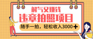最新违章拍照赚钱,解气又赚钱的项目,随手一拍,轻松收入3000+-布谷屋免费网赚资源网