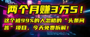 “头条问答”项目,今天免费拆解!两个月赚3万5!这个被99%的人忽略的-布谷屋免费网赚资源网
