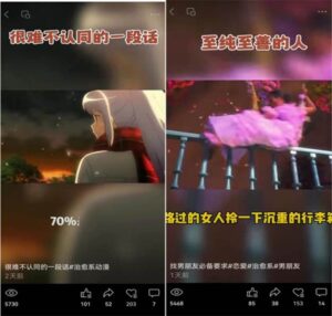 视频号情感动漫治愈变现项目分享课,一条龙玩法分享给你(教程+素材)-布谷屋免费网赚资源网