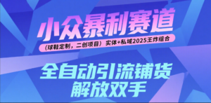 楠—小众暴利赛道（球鞋定制，二创项目）实体+私域2025王炸组合-布谷屋免费网赚资源网