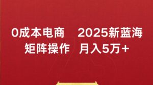 0成本电商2025新蓝海矩阵操作 月入5万+-布谷屋免费网赚资源网
