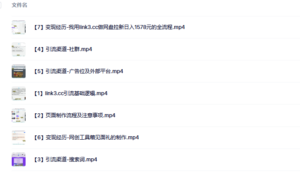 link3.cc聚合链接引流，日引流50＋精准粉-布谷屋免费网赚资源网