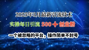 2025年3月最新引流技术,实操每日引流500➕创业粉,一个被忽略的平台,操作简单不封号-布谷屋免费网赚资源网