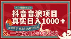 每天稳定1000＋抖音音浪项目稳定收益可当主业和副业-布谷屋免费网赚资源网