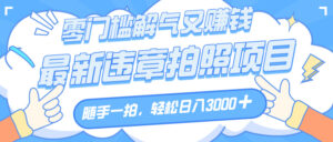 解气又赚钱的项目，随手一拍，轻松收入3000+，最新违章拍照赚钱-布谷屋免费网赚资源网