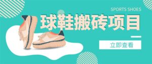 外面收费998的球鞋搬砖项目【详细教程+资源渠道】-布谷屋免费网赚资源网