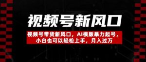 视频号带货新风口,AI模版暴力起号,小白也可以轻松上手,月入过万-布谷屋免费网赚资源网
