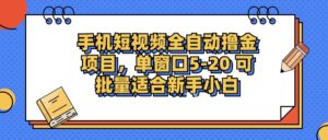 手机短视频全自动撸金项目，单窗口5-20可批量适合新手小白-布谷屋免费网赚资源网