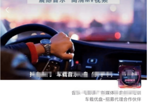 车载u盘暴力私域玩法，一部手机实现日入300+-布谷屋免费网赚资源网