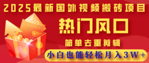2025最新国外视频搬砖项目,热门风口,简单去重剪辑,小白也能轻松月入3W+-布谷屋免费网赚资源网