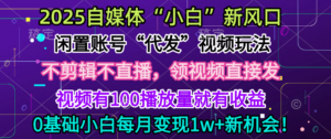2025每月躺赚5w+新机会,闲置视频账号一键代发玩法,0粉不实名不剪辑,领了视频直接发,0基础小白也能日入300+-布谷屋免费网赚资源网