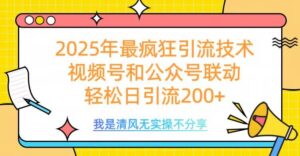 2025年最疯狂引流技术,视频号和公众号联动,轻松日引流200+-布谷屋免费网赚资源网
