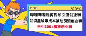 哔哩哔哩混剪视频引流创业粉日引300+知识星球零成本被动引流创业粉一天300+-布谷屋免费网赚资源网