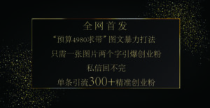 小红书,“预算 4980 带我飞” 的神奇图片引流法,堪称涨粉核武器!只需一张图,就能单条笔记凭借此方法,轻松引流 300 + 精准创业粉!-布谷屋免费网赚资源网