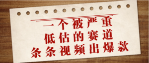 一个被严重低估的赛道,条条视频出爆款,一个月变现3万+-布谷屋免费网赚资源网