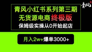 小红书无货源电商爆单终极版【视频教程+实战手册】保姆级实操从0起店爆单-布谷屋免费网赚资源网