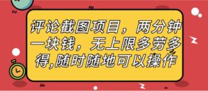 评论截图项目，两分钟一块钱，无上限多劳多得，随时随地可以操作-布谷屋免费网赚资源网