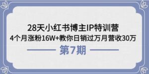 28天小红书博主IP特训营《第6+7期》4个月涨粉16W+教你日销过万月营收30万-布谷屋免费网赚资源网
