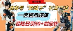 视频号“野路子”玩法,评论区疯狂截流,一套模板单日单号引流50+创业粉-布谷屋免费网赚资源网