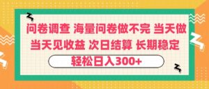 问卷调查 一手资源海量问卷做不完 次日结算 可全职可兼职 长效稳定 当天做当天见收益 轻松日入300+-布谷屋免费网赚资源网