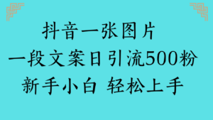 抖音一张图片 一段文案日引流500粉新手小白 轻松上手-布谷屋免费网赚资源网