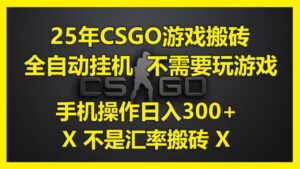25年CSGO游戏搬砖，全自动挂机，不需要玩游戏，手机操作日入300+。(不是汇率搬砖)-布谷屋免费网赚资源网