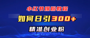 小红书爆粉教程,如何日引300+创业粉,快速实现精准变现!-布谷屋免费网赚资源网