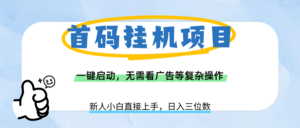首码挂机项目，一键启动，无需看广告等复杂操作，新手小白日入三位数-布谷屋免费网赚资源网